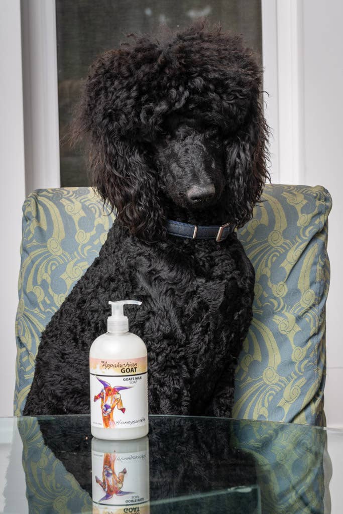 The Appalachian Goat - Wholesale Hand Soap/Wash - 16oz Liquid Soap - Honeysuckle Goats Milk 5