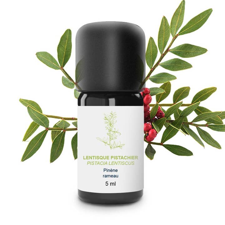 Óleo Essencial de Pistache Lentiscus por atacado de essenciagua