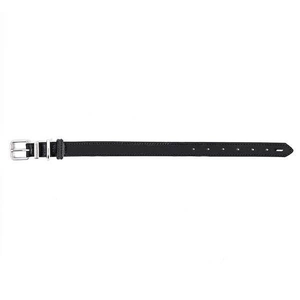 EzyDog - Wholesale Pet Collar - Dog - Ezydog Oxford Leather Collar