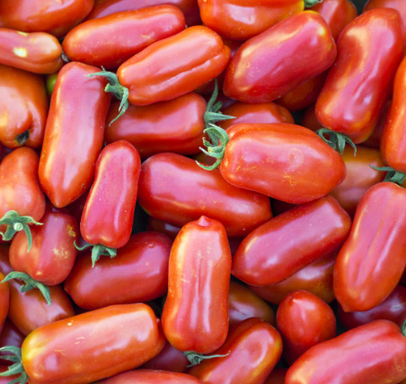 Little Veggie Patch Co - Vente Graines de plantes - Graines anciennes de tomate 'San Marzano'2