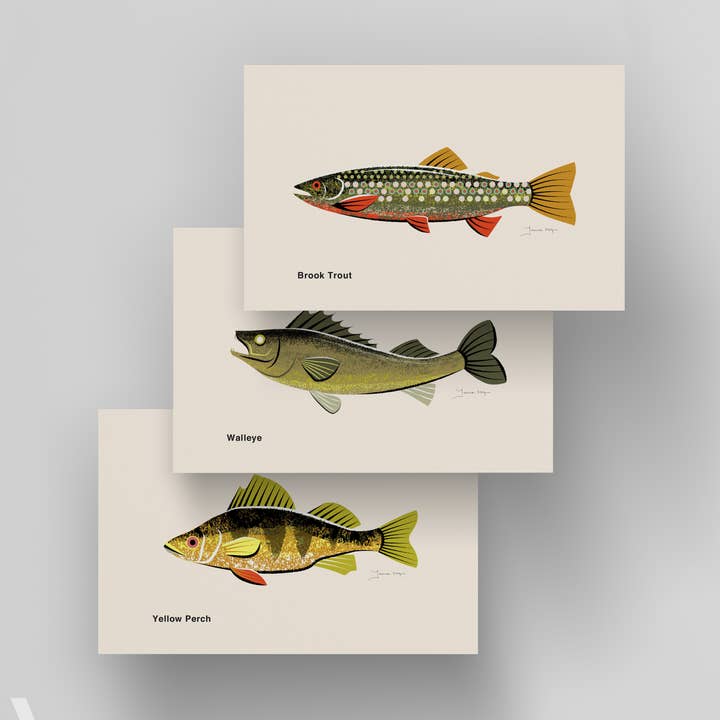 Common Fish of Pennsylvania / Small Art Prints for wholesale by Addvent