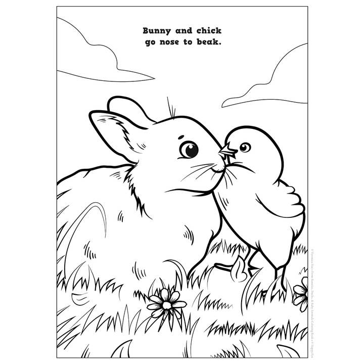 Wellspring - Vendita all'ingrosso Libro da colorare e attività - Bambini e neonati - Libro da colorare - Coniglietti, anatre e cuccioli1