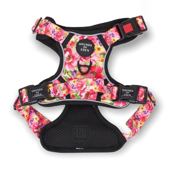 Supaw Strong™ 'Florentina' Utility Harness for wholesale by Hounds of Eden