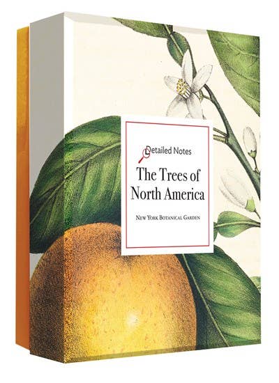 W. W. Norton - Wholesale Stationery/Notecard Set - The Trees of North America note cards0