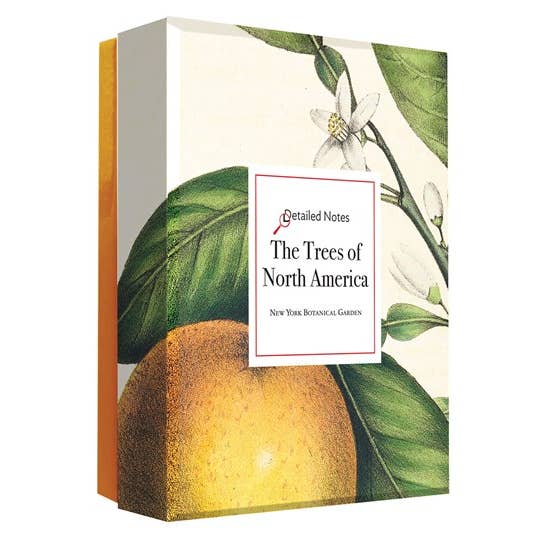 W. W. Norton - Wholesale Stationery/Notecard Set - The Trees of North America note cards