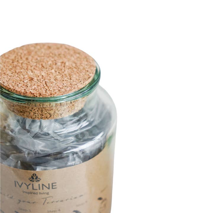 Ivyline - Vente Terrariums - Kit de bricolage pour grand terrarium en forme de bouteille, hauteur 26,5 cm, largeur 19 cm3