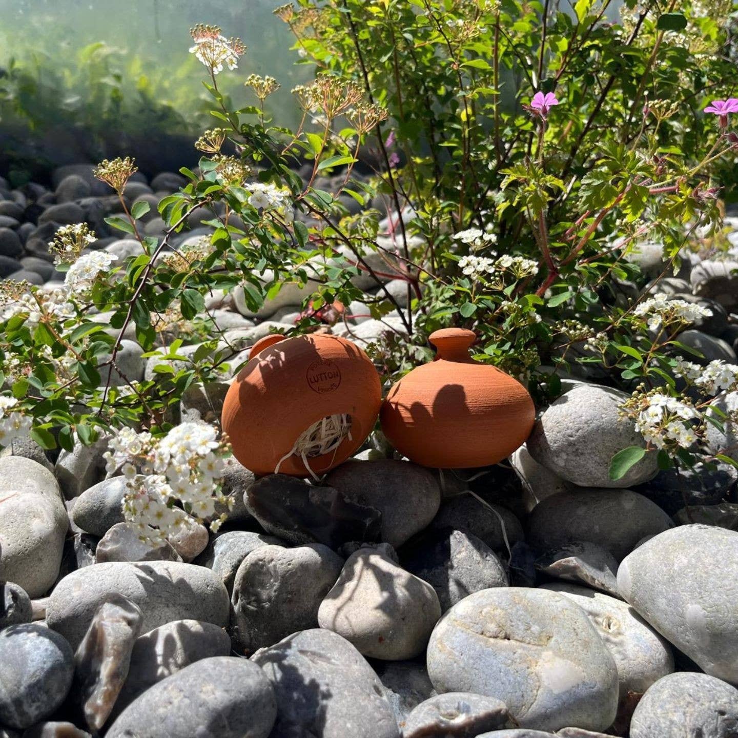 Poterie lutton – wholesale Trädgårdsverktyg – Öronvigg för tvestjärtar1