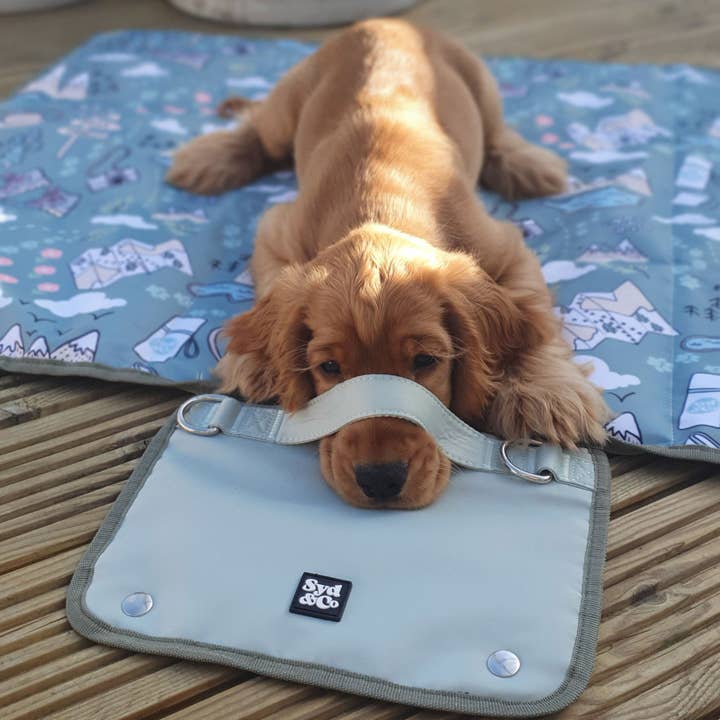 Syd&Co - Wholesale Pet Mat - Dog - Paws Outdoors Dog Settle Mat Travel Mat