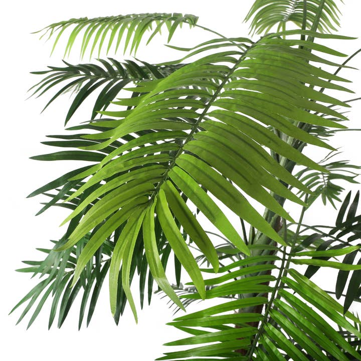 Closer2Nature - Venta al por mayor Plantas artificiales - Palmera Kentia artificial de 5 pies1