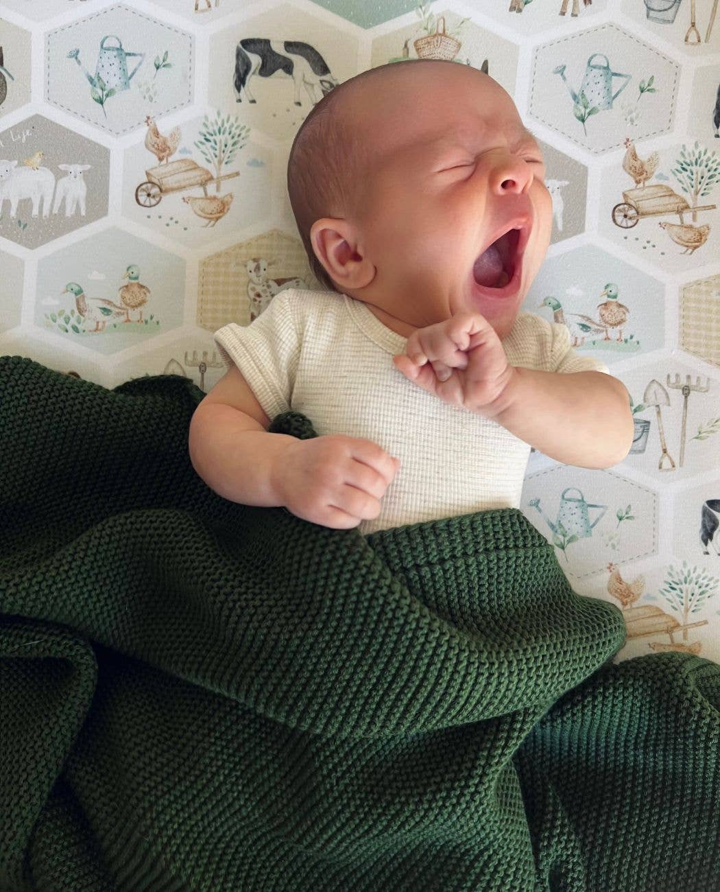 Cuddle Bug & Co - Wholesale Cot/Crib Sheets - Mini & Me Co-Sleeper Sheet Patchwork Farm2