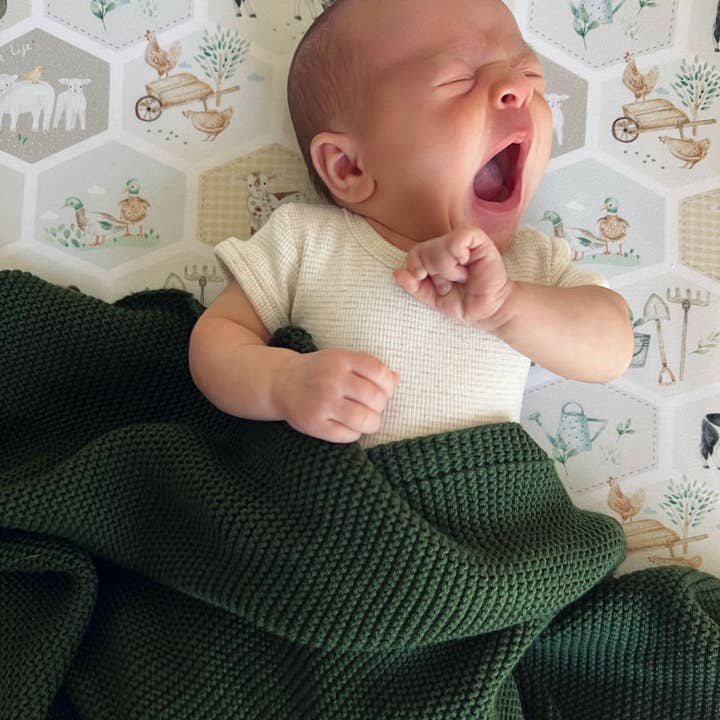 Cuddle Bug & Co - Vente Drap pour berceau/lit pour bébé - Mini & Me Drap pour Cododo Patchwork Ferme2