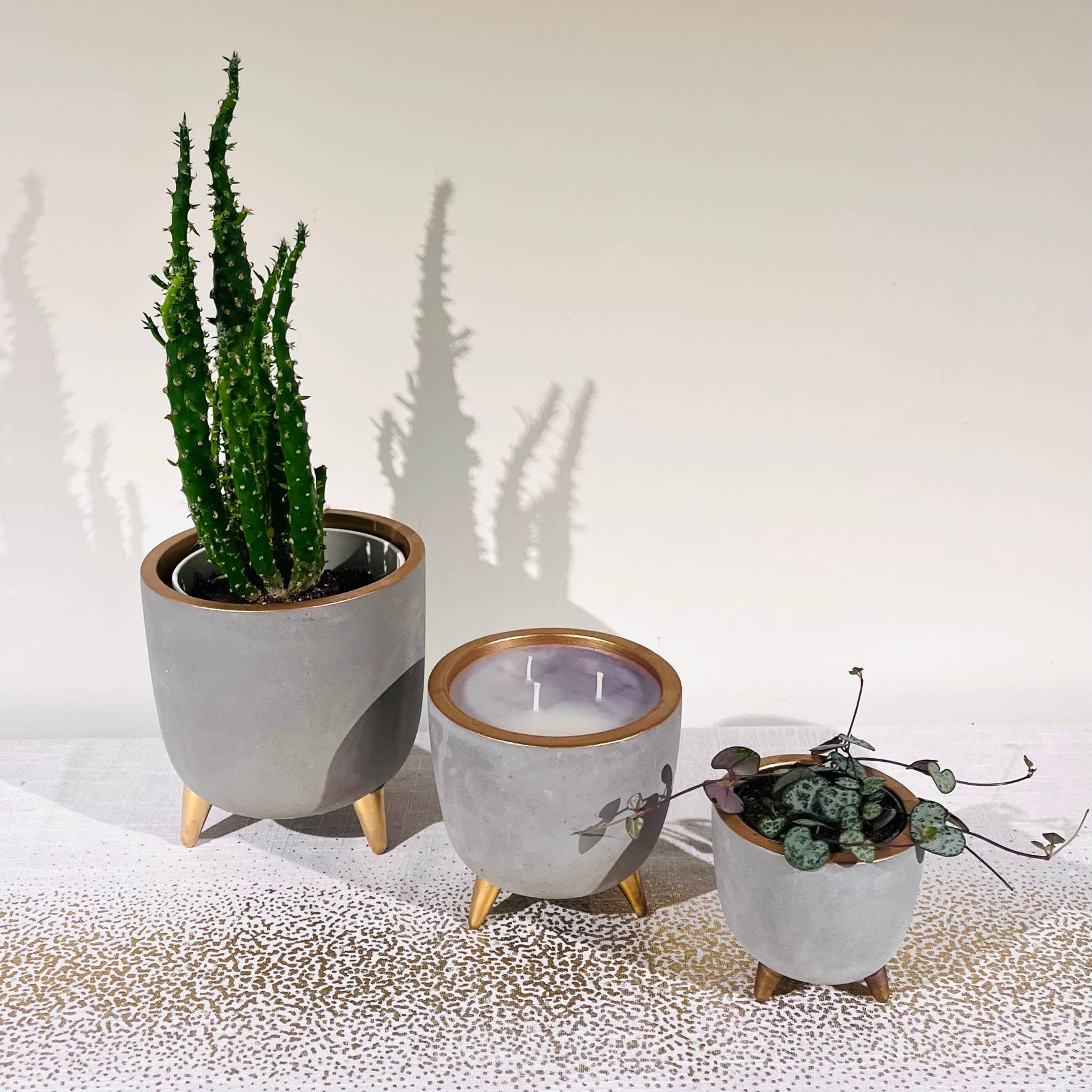 .AVPV. Studio - Wholesale Jar/Filled Candle - Concrete Copper Candle / Flowerpot0