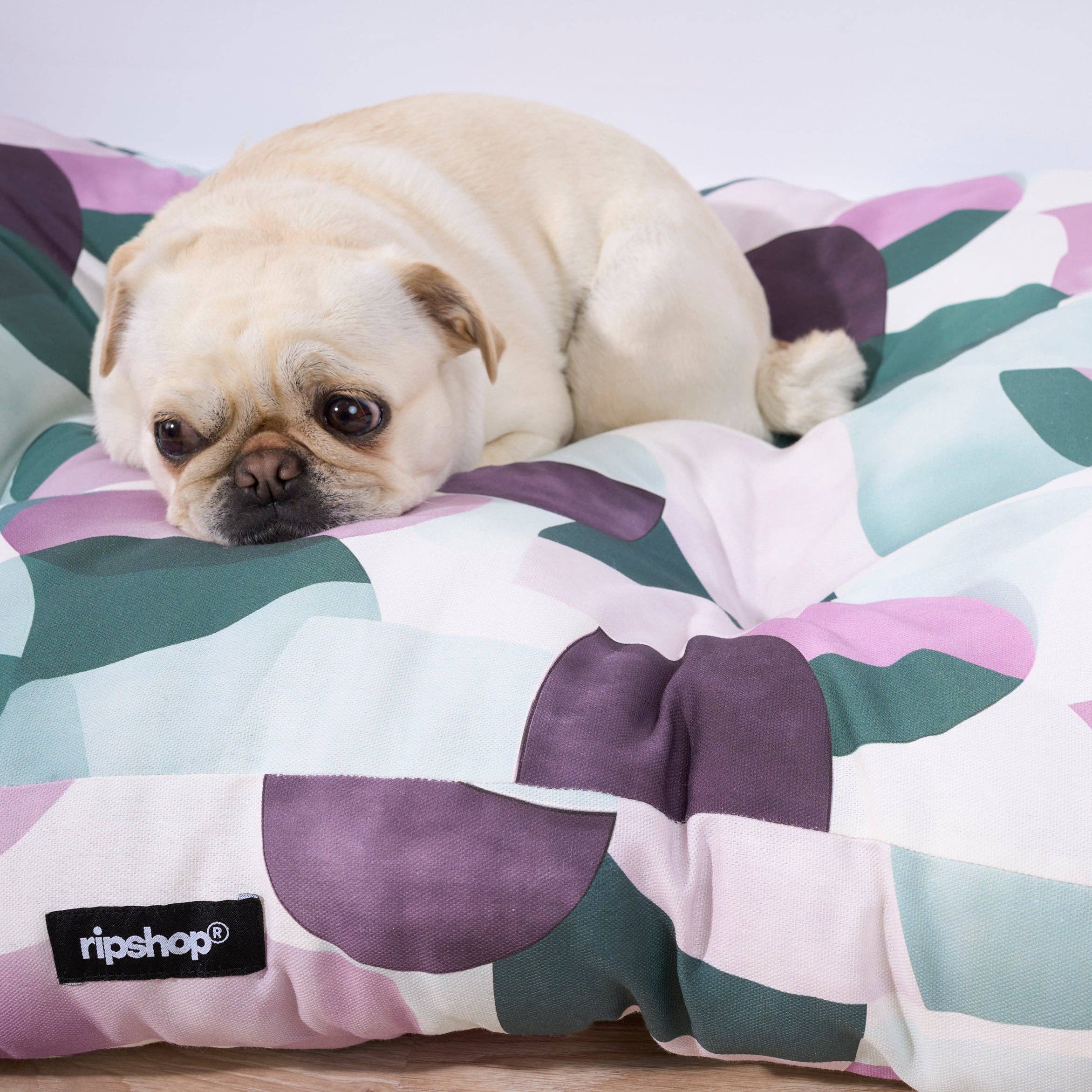 SG HOGAR - Vente Panier – chien - Panier pour animaux York Lilac 100 % coton, résistant aux taches3