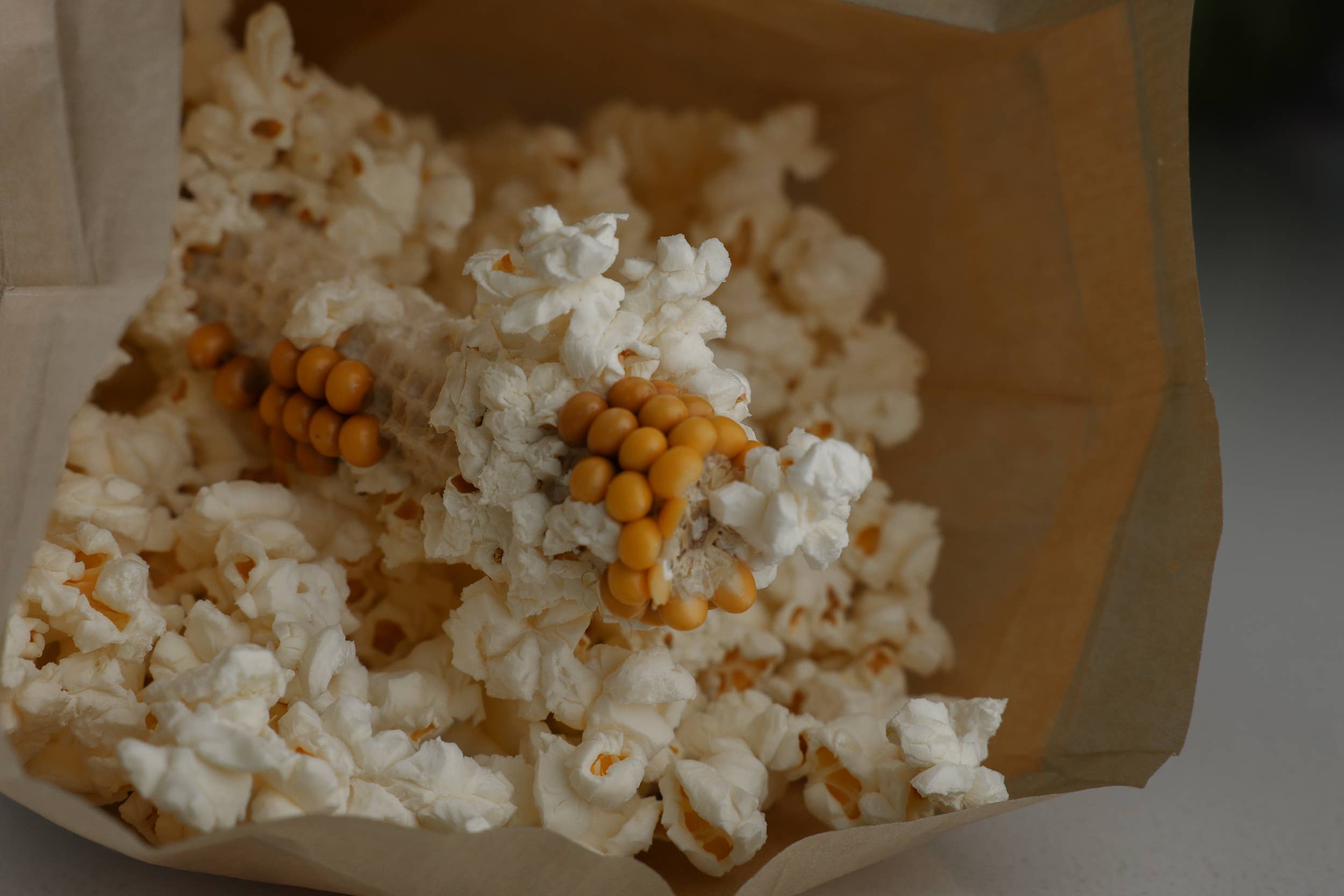 Amish Country Popcorn - Wholesale Popcorn - Twin Microwave Popcorn Cobs3