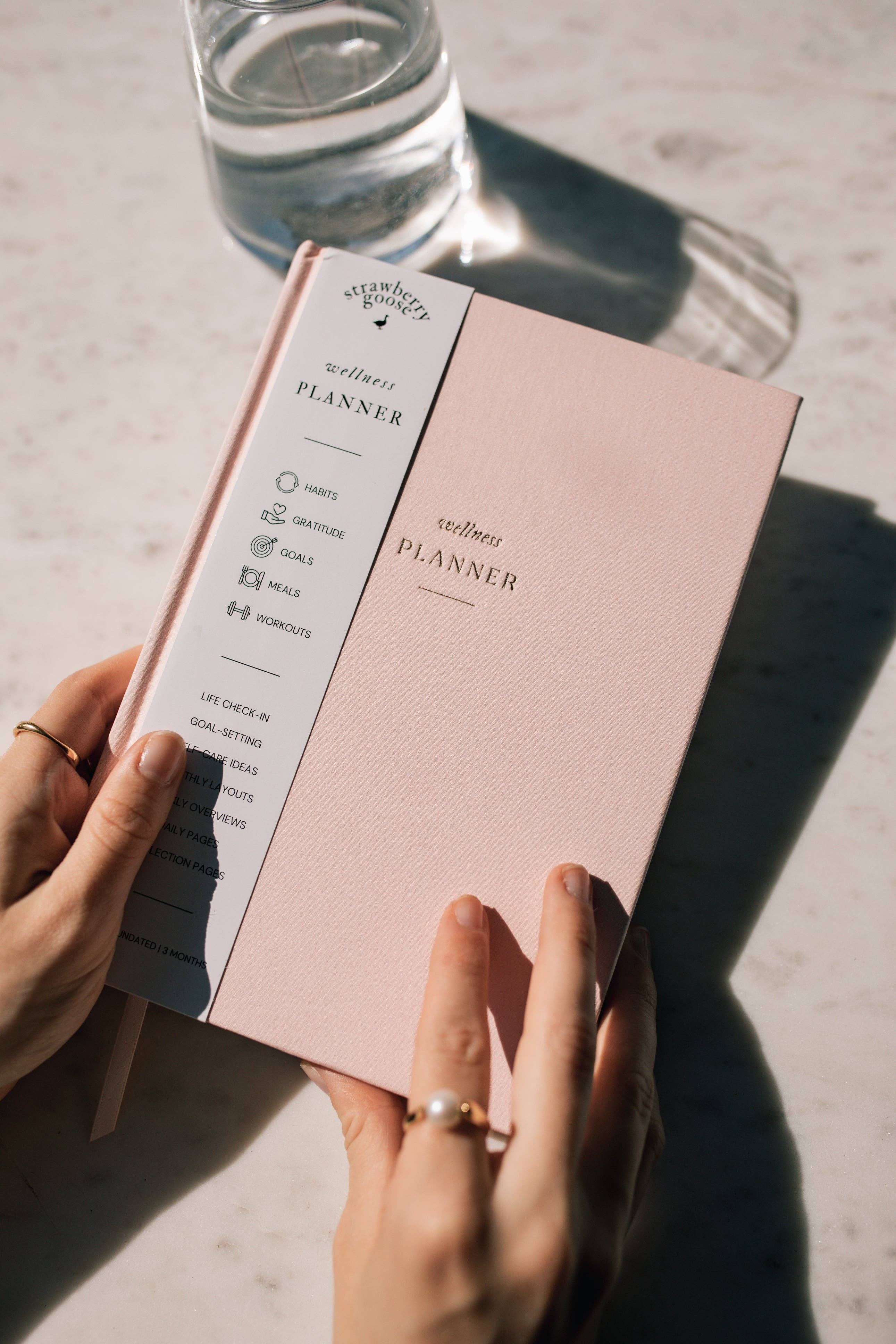 Strawberry Goose - Wholesale Planner - Wellness Planner9