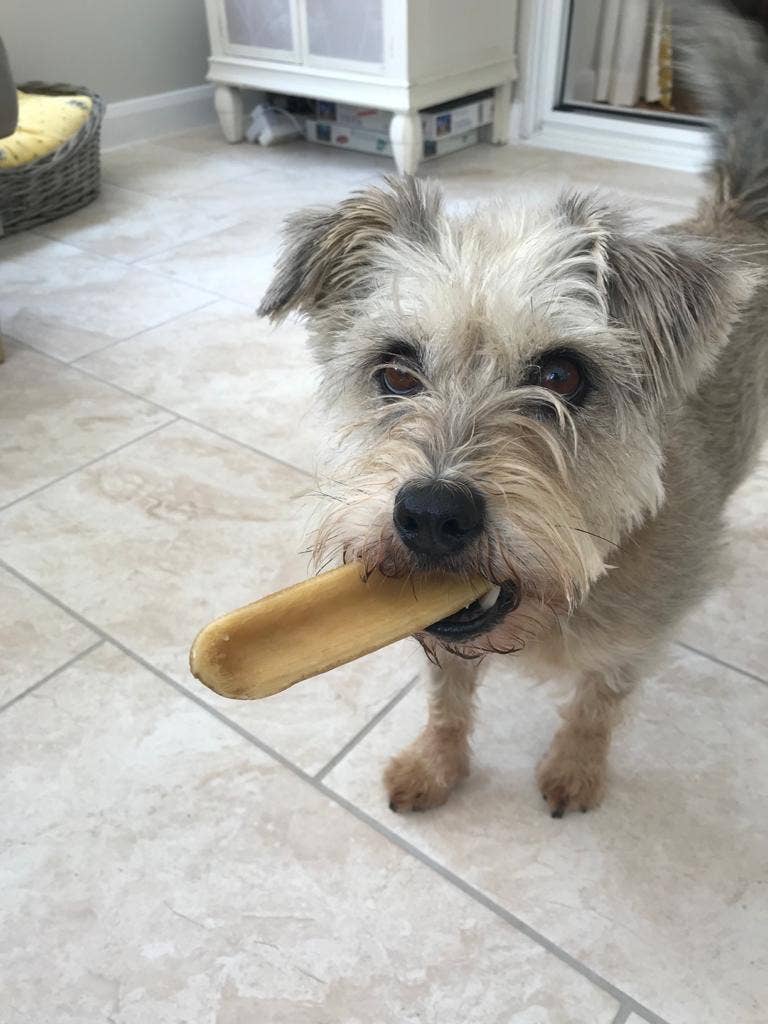 Real Pet Supplies - Wholesale Pet Treats - Dog - K2 Yak Chews TURMERIC Flavour 100% Natural Dog Treats Small2