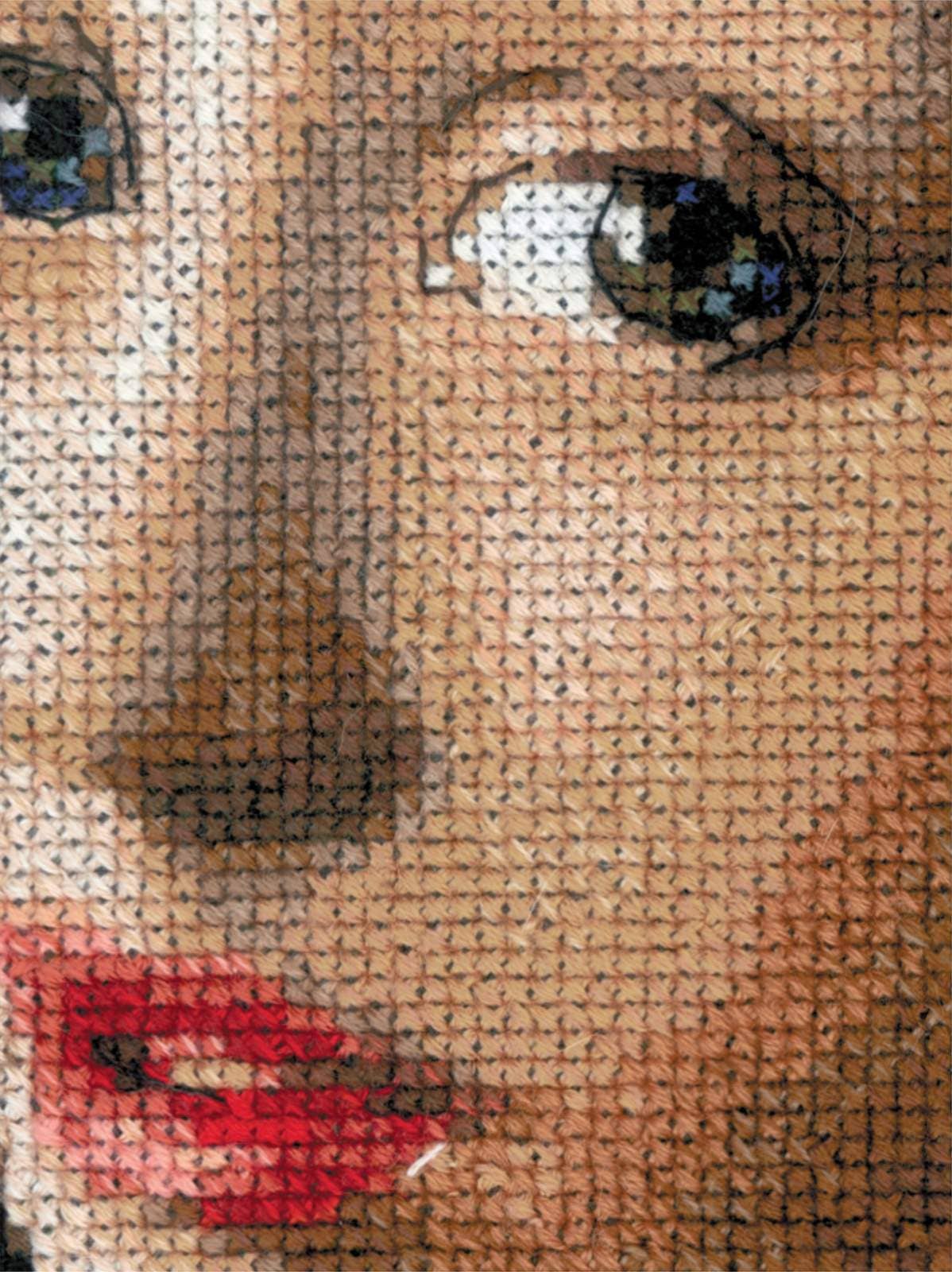 RIOLIS - Wholesale Embroidery/Cross Stitch Supplies - Cross Stitch Kit Riolis 100/063 Girl With A Pearl Earring2