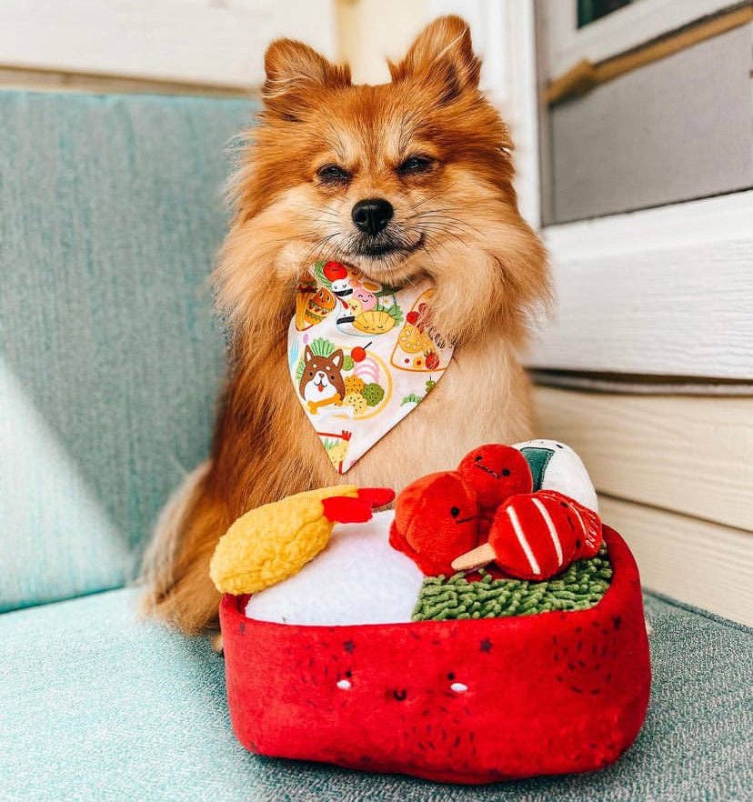 Woof & Co. – wholesale Pet plush toy – Dog – Benny Bento Box12