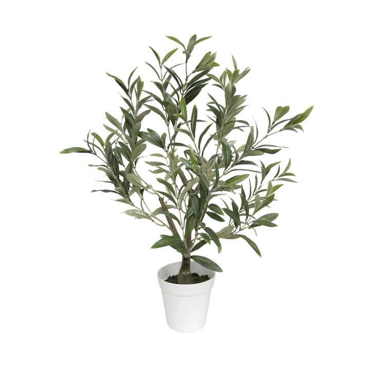 26" Table Top Olive Tree (5"pot; 26" x 27"H) and other Purchase Wholesale fake trees. Free Returns & Net 60 Terms on Faire trending on Faire.