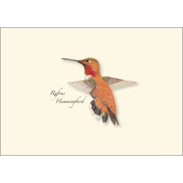 Earth Sky + Water - Wholesale Stationery/Notecard Set - Western Hummingbird Assortment