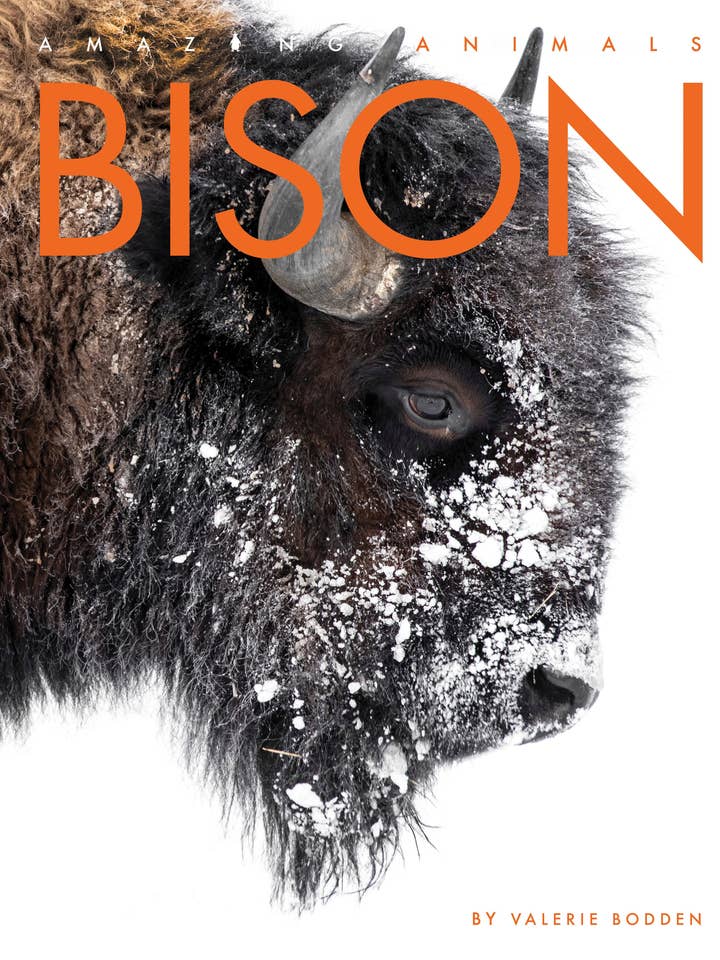 Amazing Animals - Ny upplaga: Bison för wholesale av The Creative Company