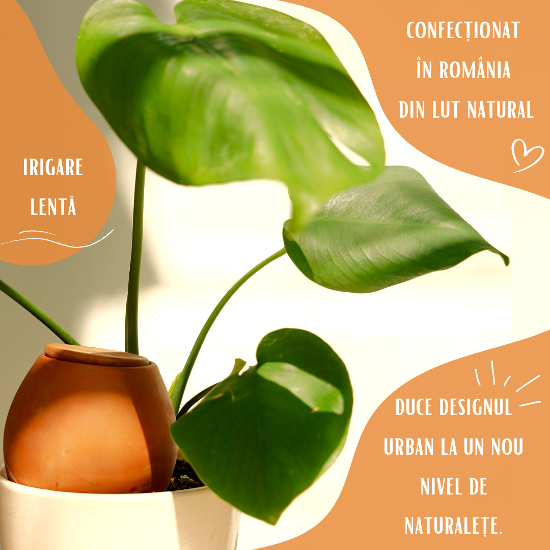 LUTOYA CREATIV - Vendita all'ingrosso Annaffiatoi - Grande vasca per irrigazione ecologica - Lutoya Original - 70 cl6