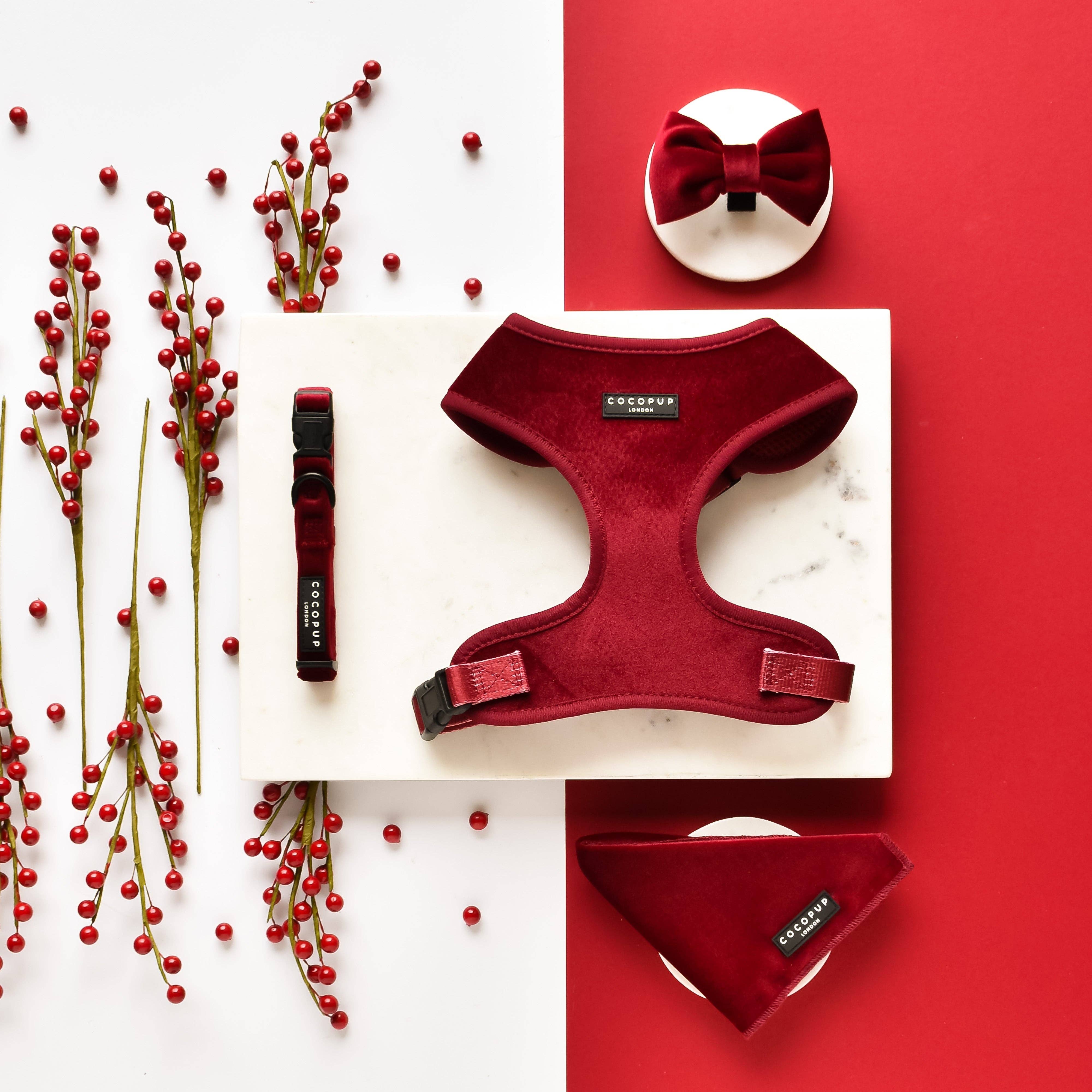 Cocopup London - Wholesale Pet Bow Tie - Dog - LUXE Velvet Bow Tie - Berry Red1