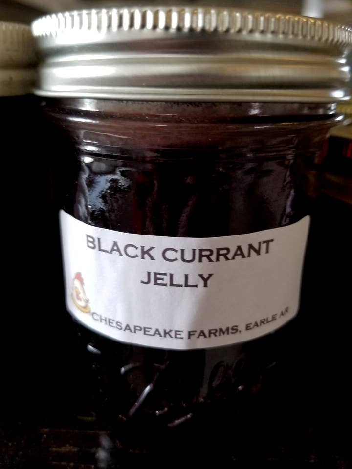 Bio-Schwarze-Johannisbeer-Gelee – Tief, Kräftig, Natürlich Herb für den Großhandel von Chesapeake Farms LLC