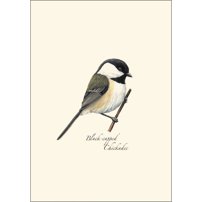Earth Sky + Water - Wholesale Stationery/Notecard Set - Black-capped Chickadee1