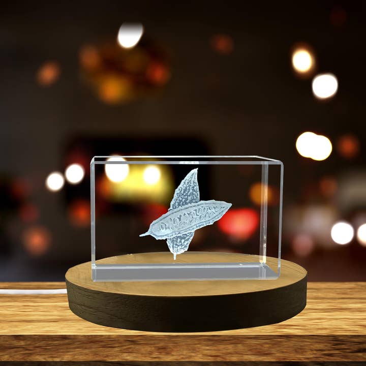 Bitter Gourd 3D Engraved Unique Vegetable Crystal Gift for wholesale by AB Crystal Collection