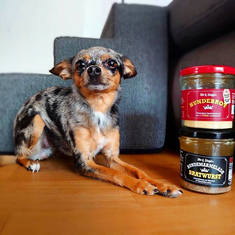 Meister Handelsmarken GmbH - Wholesale Pet Food - Dog - DOG JAM BRATWURST8