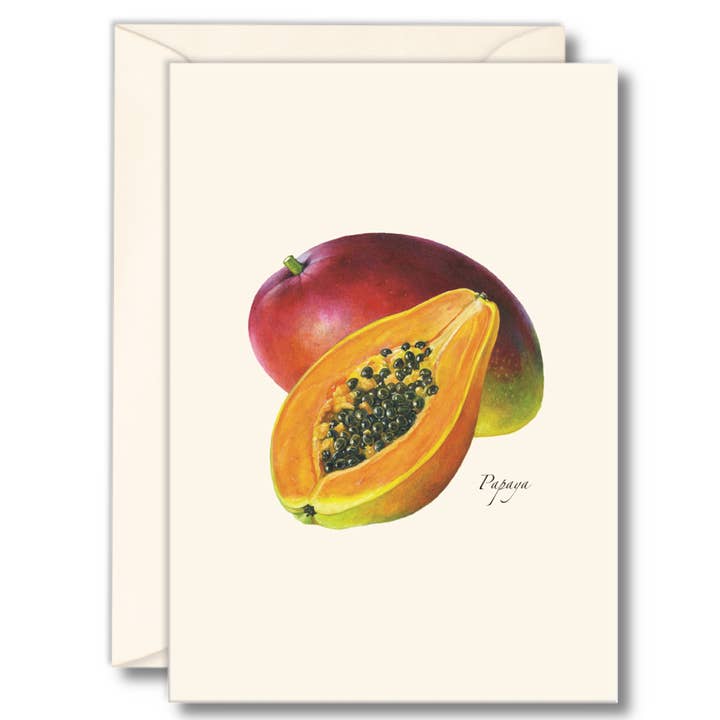 Papaya Illustrated Notecard Set, 8 Cards/envelopes for wholesale by Earth Sky + Water