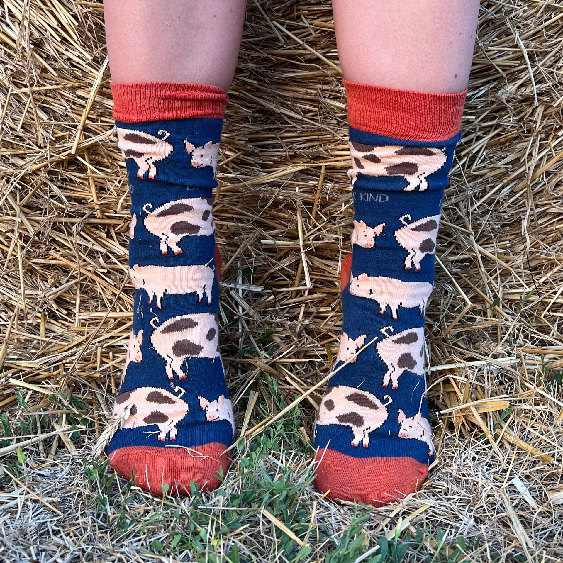 Bare Kind Socks - Wholesale Socks – Unisex - Pig Socks | Bamboo Socks | Blue Socks | Farm Socks7