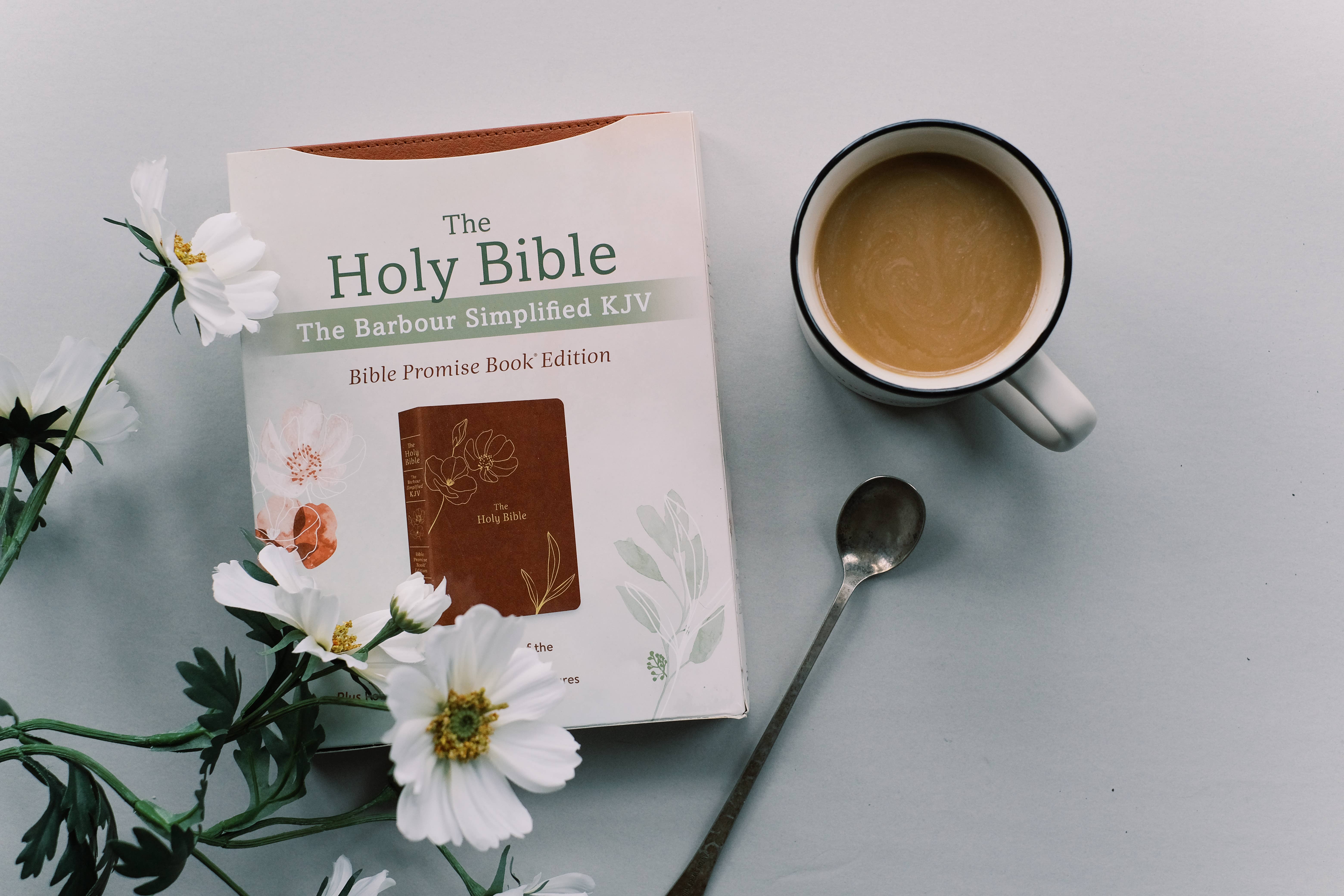 Barbour Publishing, Inc. - Wholesale Religion - The Holy Bible: SKJV [Chestnut Floral]2