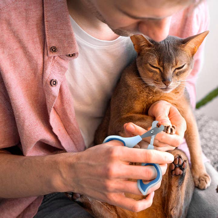 Precious Tails - Wholesale Pet grooming tool – Dog - Ocean Plastic by PT Pet Nail Clipper Grooming Tool10