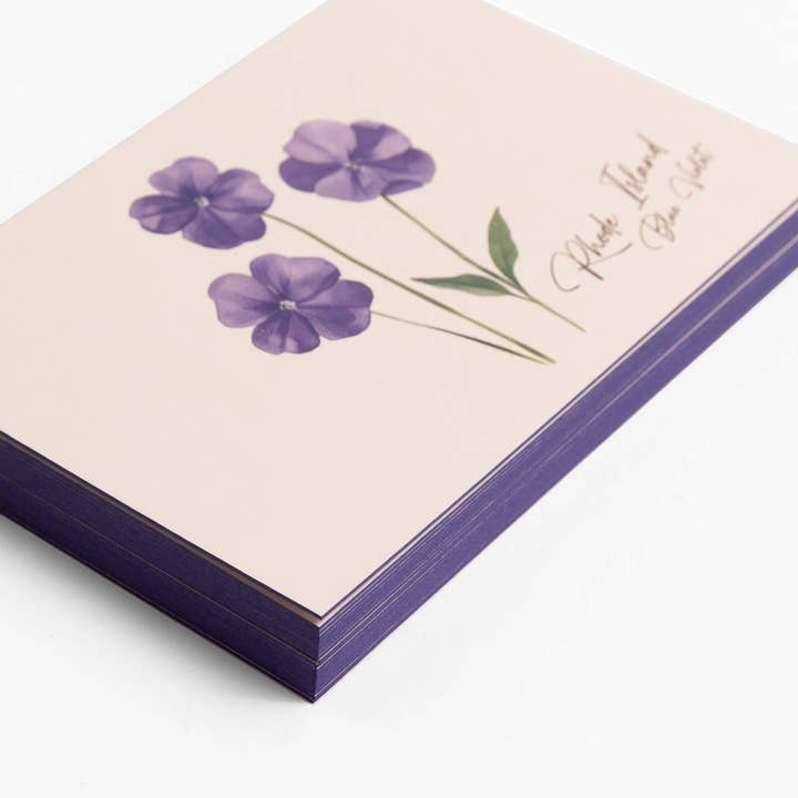 Rhode Island Blauwe Viooltjes - Doos met 6 Ansichtkaarten voor wholesale door Saltbox & Company