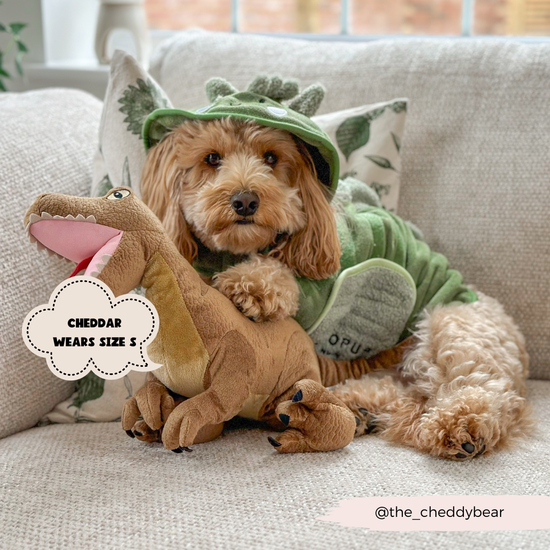 Cocopup London - Wholesale Pet Hoodie - Dog - Dinopup Drying Robe6