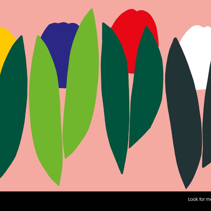 Schiffer Publishing - Wholesale Pre-school book (3–5) - The Chameleon: A Seek and Find Book1