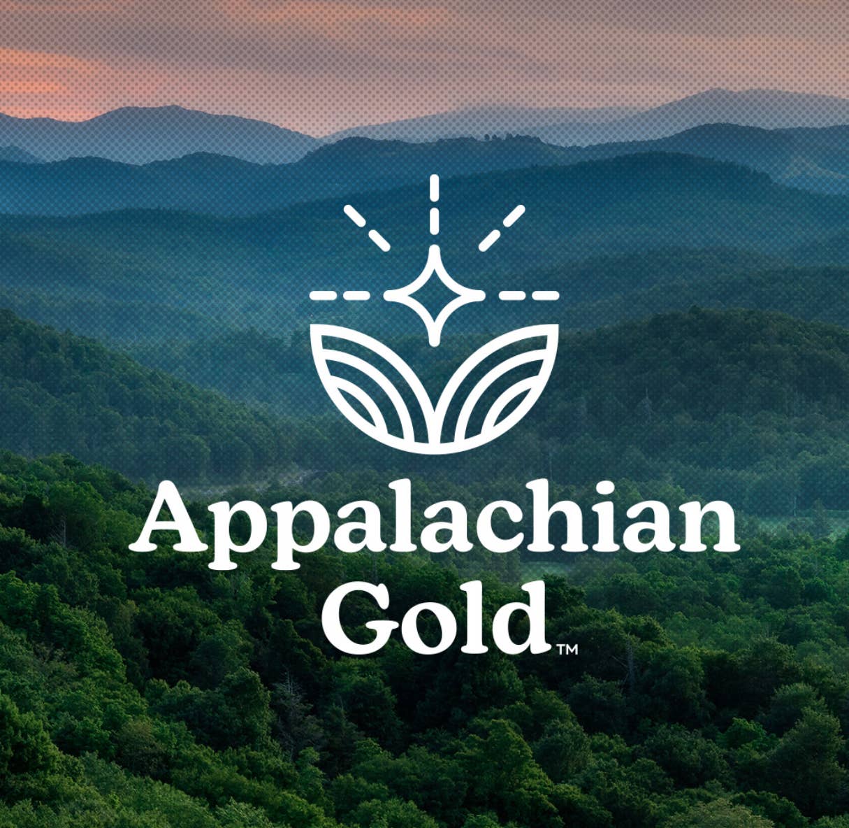 Y'all Company - Wholesale Marinade - Mama'sSauce1