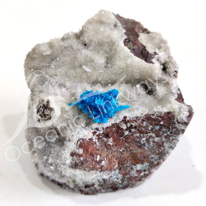 Oceanic Linkways Inc - Wholesale Spiritual Stone/Crystal - (PC)SPECIMEN - CAVANSITE IN MATRIX 3-6"2