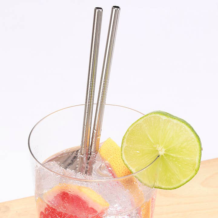 Kikkerland Design Inc - Wholesale Drinking Straw - Stainless Steel Straws S/102