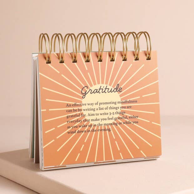 Lisa Angel - Wholesale Notepad - Daily Mindfulness Flip Chart4