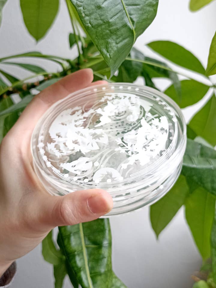 Sottobicchieri in Acrilico Shore per la vendita all'ingrosso da parte di Ondine