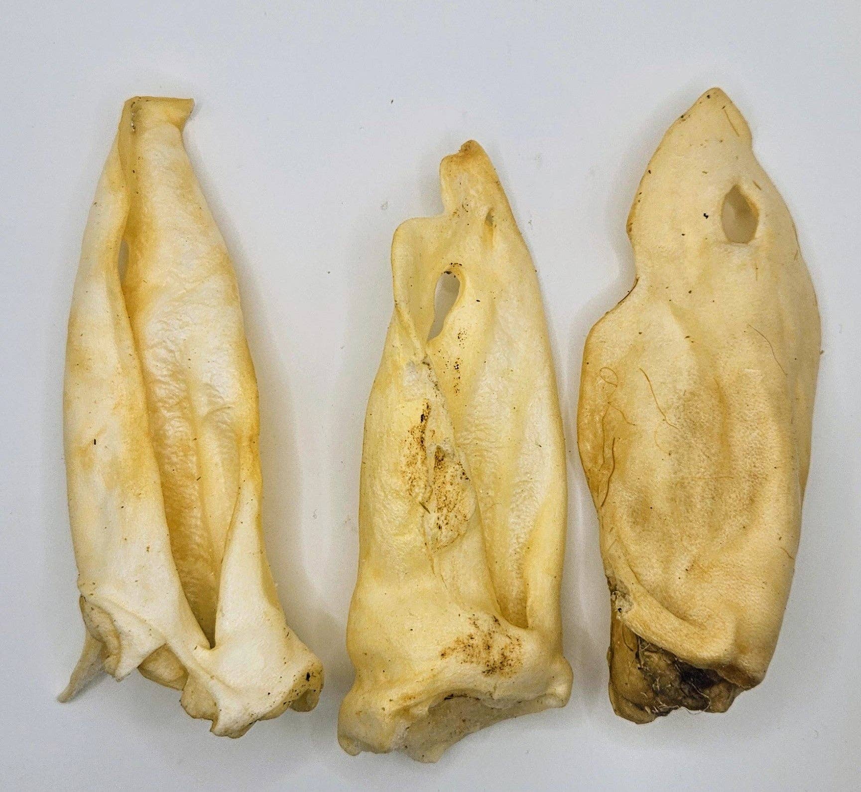 Blue's Colorado - Wholesale Pet Treats - Dog - Pet Provisions Lamb Ears1