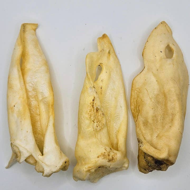 Blue's Colorado - Wholesale Pet Treats - Dog - Pet Provisions Lamb Ears1