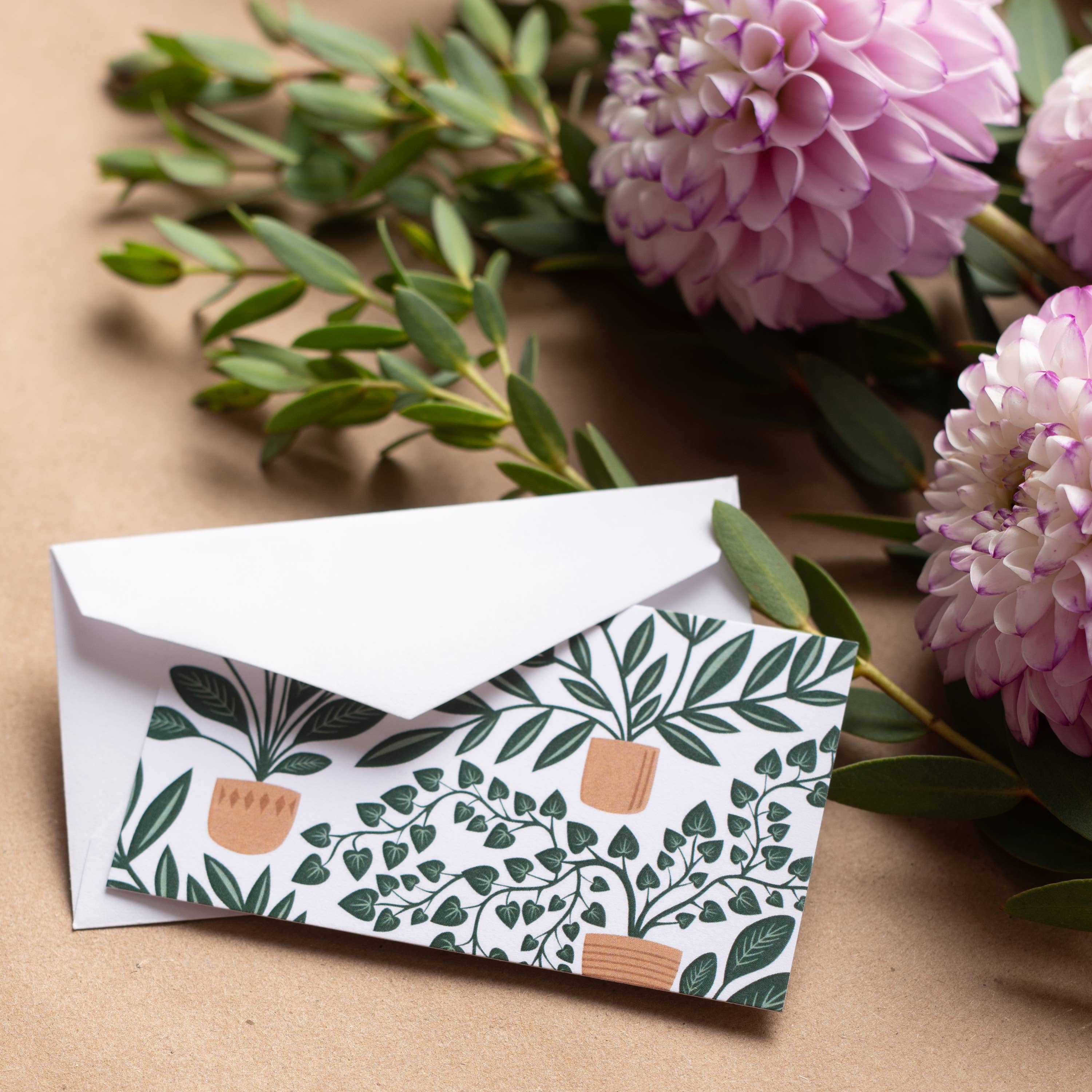 HAZELMADE® Tea Towels + Gifts - Wholesale Stationery/Notecard Set - House Plants Mini Note Set | Cards1