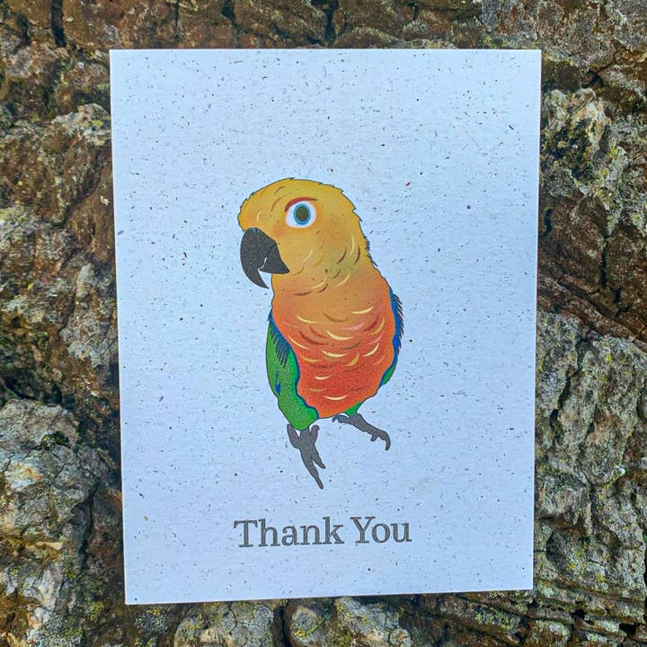 Thank You - Jenday Conure for wholesale by Hakuna Matata Vibes