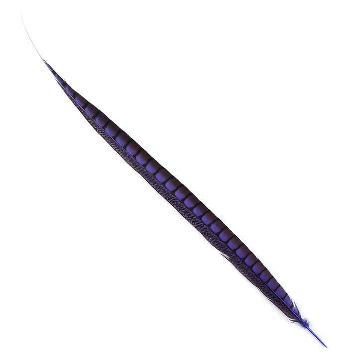 Zucker Feather Products – Großhandel Federn – Lady Amherst Fasanenschwänze, gefärbt, 1 Stück pro Packung, Fliederfarben