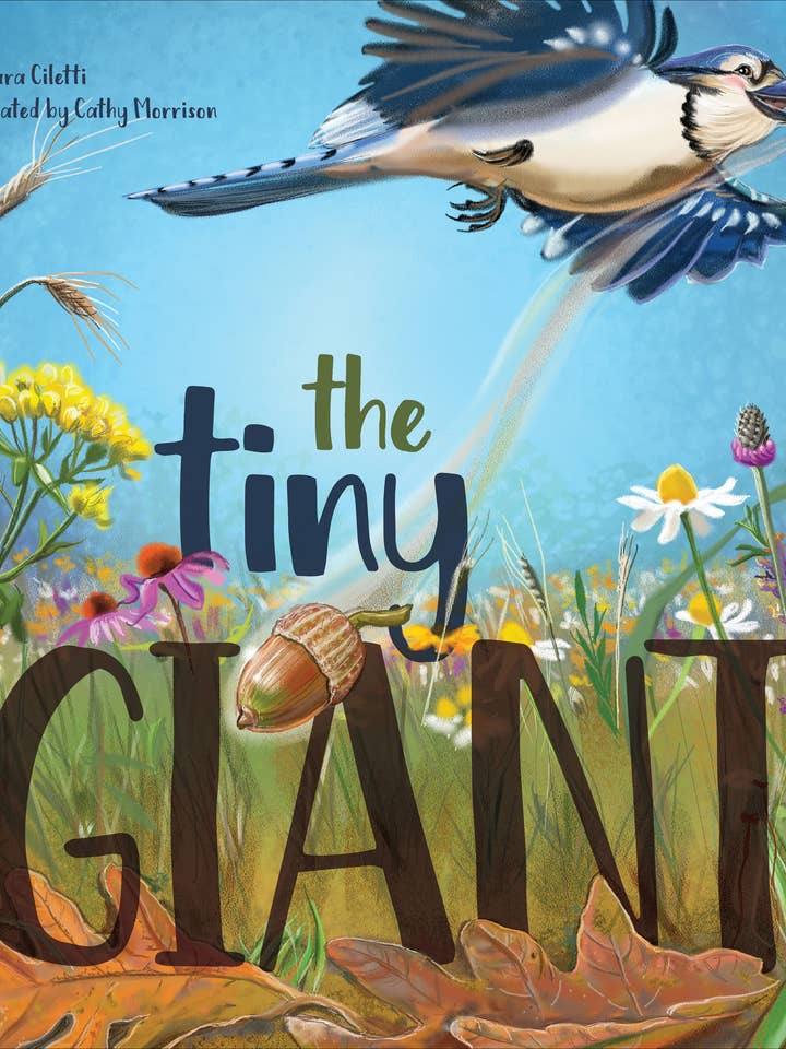 Der kleine Riese für den Großhandel von Schiffer Kids