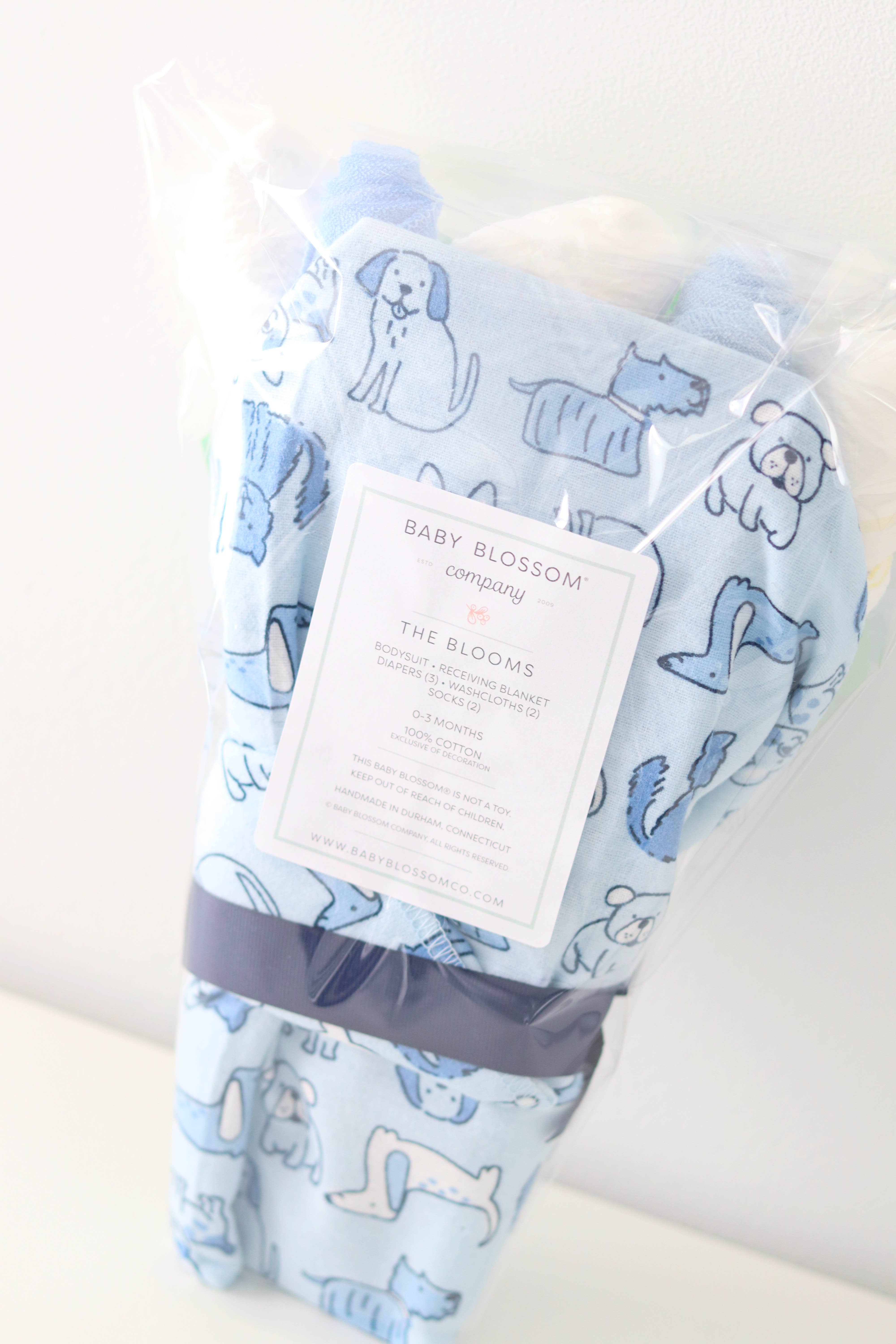 Baby Blossom Company - Wholesale New Mom Gift Box/Set - Baby Boy Gift Set Flower Bouquet - Puppy5